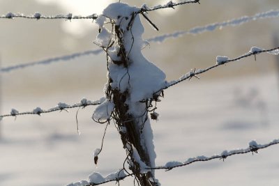 _MG_0611_web.jpg