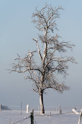 _MG_0613_web.jpg