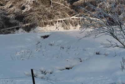 _MG_0618_web.jpg