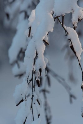 _MG_0628_web.jpg