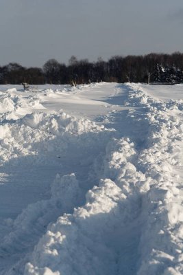 _MG_0668_web.jpg