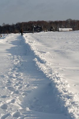_MG_0674_web.jpg