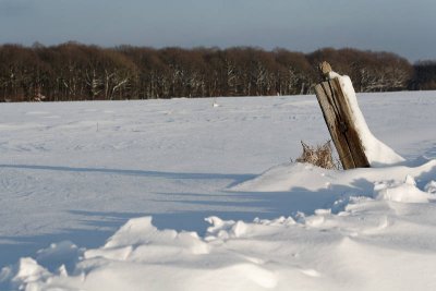 _MG_0677_web.jpg