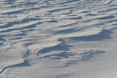 _MG_0681_web.jpg