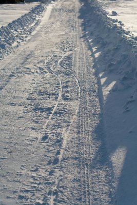 _MG_0688_web.jpg