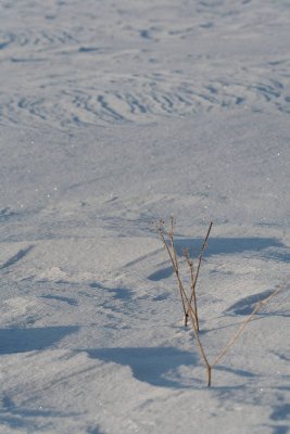 _MG_0690_web.jpg