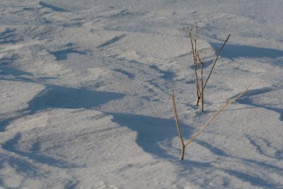 _MG_0691_web.jpg