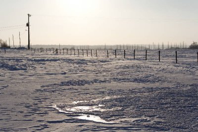 _MG_0695_web.jpg