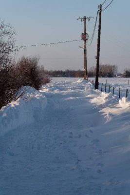 _MG_0700_web.jpg