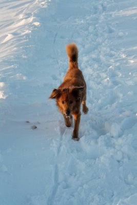 _MG_0723_web.jpg