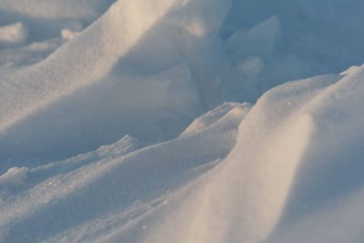 _MG_0730_web.jpg