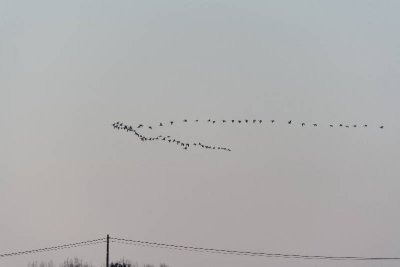 _MG_0741_web.jpg