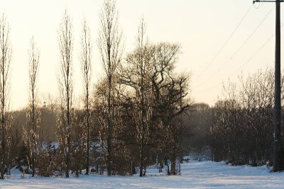 _MG_0745_web.jpg