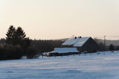 _MG_0747_web.jpg