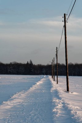 _MG_0748_web.jpg