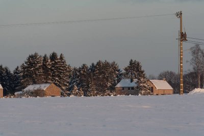_MG_0749_web.jpg