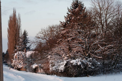 2010_neige
