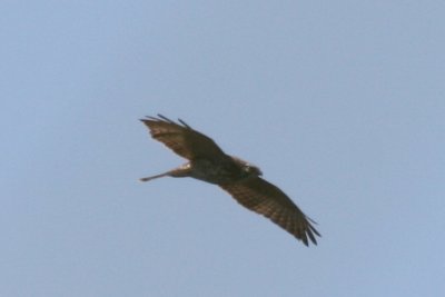 g1/83/612483/3/107173279.l29IbjcH.jpg