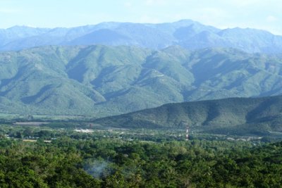 View of riparian forest (foreground)