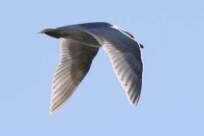g1/83/612483/3/93715318.QIcTDxXL.jpg