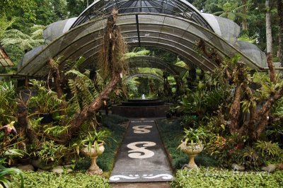 Bali - Botanical garden