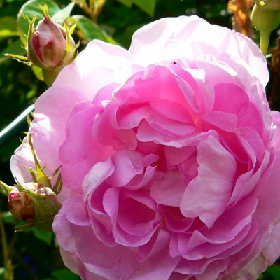 g1/83/628283/3/113613468.EtJJRXdB.jpg