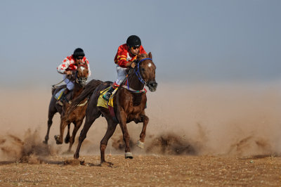 horses race
