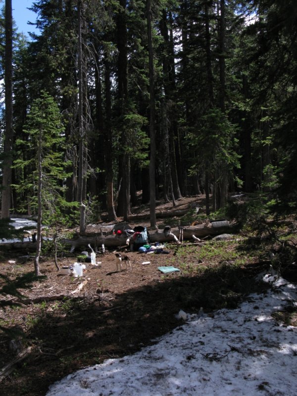 Kelly surveys our Mt McLoughlin base camp