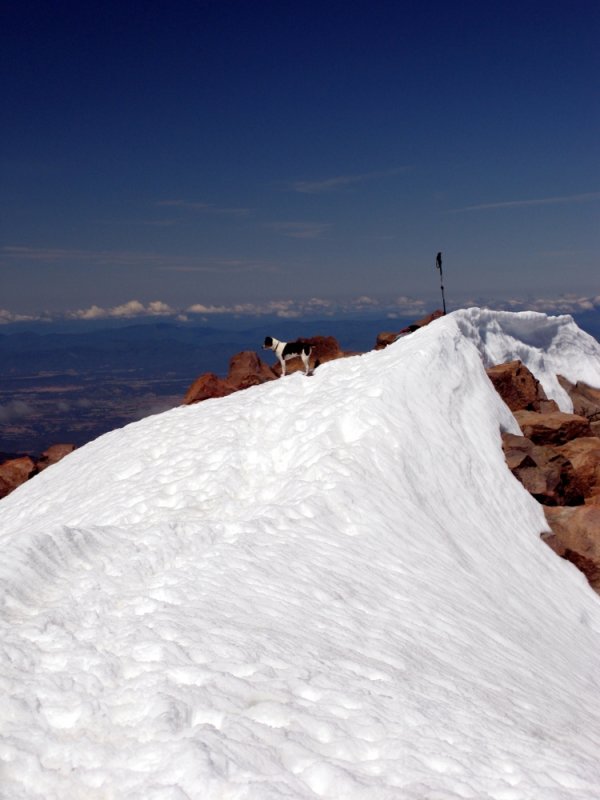 Kelly on Mt McLoughlin 9495 ft summit 7-3-2010
