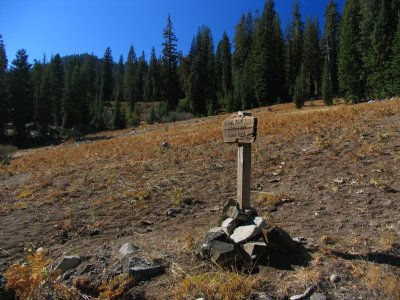 Alps meadow and trail junction