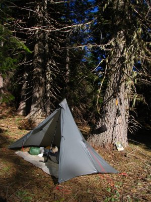 My campsite in mdw along old pct east of White Mtn