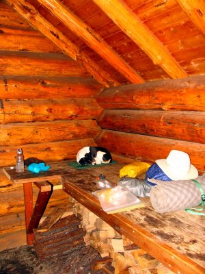 Kelly rests in Brown Mtn Shelter