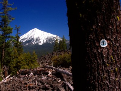 Mt McLoughlin