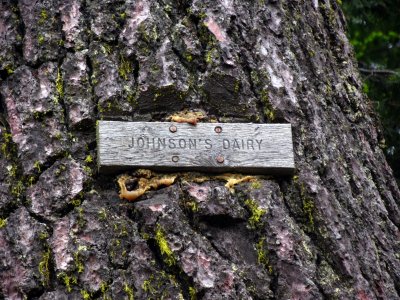 Johnson's Dairy sign