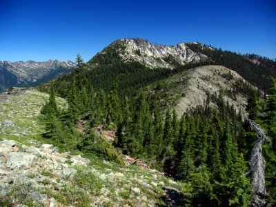 Shelly Peak viewed from ridgeline