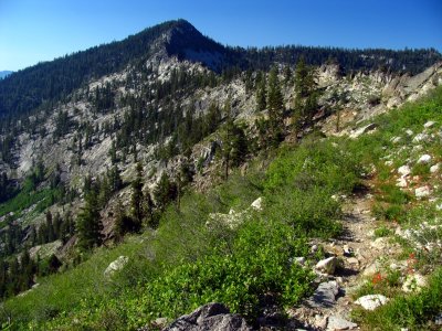 PCT approaching Taylor Lake pass