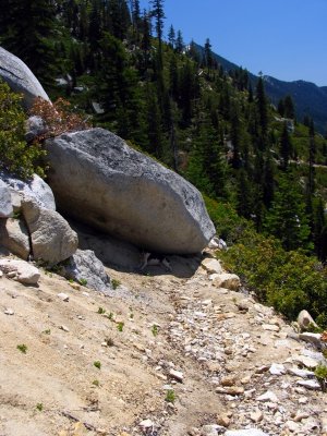 Big Rock blocking the trail