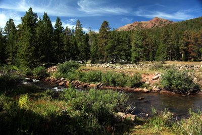 Little East fork of Black Fork creek Day1