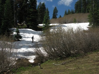 Box Camp Trail