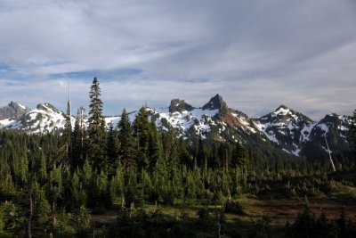 Tatoosh Range from Paradise Lodge