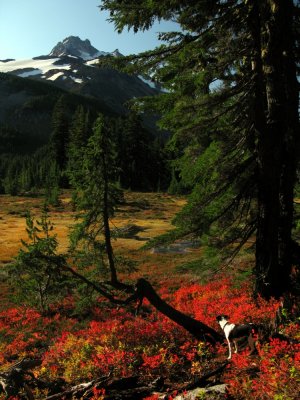 Mt Jefferson  Park on a fall day