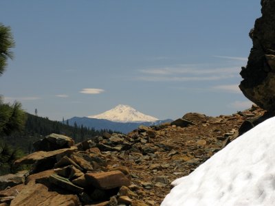 Mt Shasta from PCT to Bee Camp