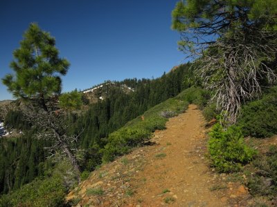 Old PCT and road to Lily Pad Lake