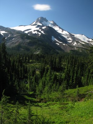 Mt Jefferson on Park Ridge trail