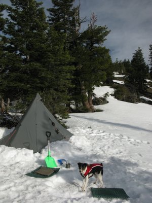 Kellys first snow camping trip