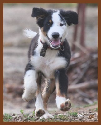 monty-722-6-25-10b.JPG