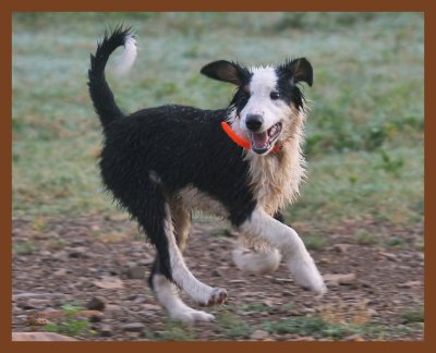 mallie684-6-25-10b.JPG