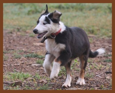 monty-701-6-25-10b.JPG