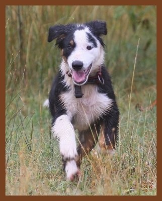 monty-813-6-25-10b.JPG