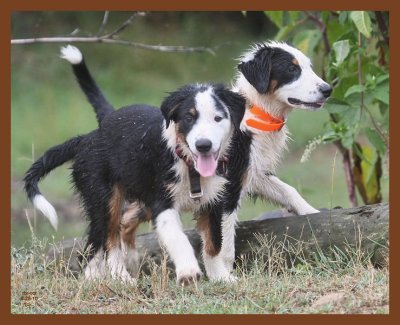 monty-mallie840-6-25-10b.JPG